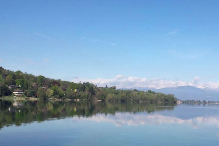 regata monate 2017
