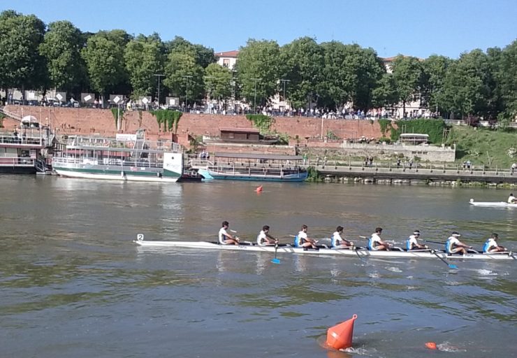 regata pavia pisa 2017